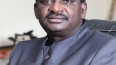 Femi Adesina