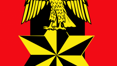 Logo of the Nigerian Army