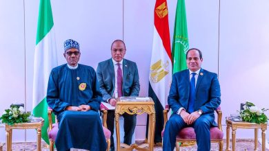 Presidents Buhari and el-Sisi