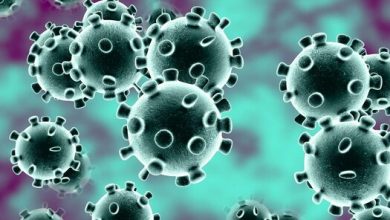 Coronavirus (Photo credit- Live science)