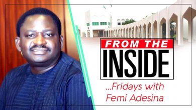 Femi Adesina's column (logo)