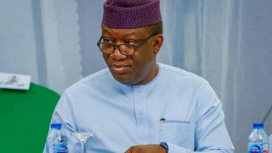 Gov. Kayode Fayemi