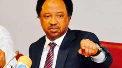 Senator Shehu Sani