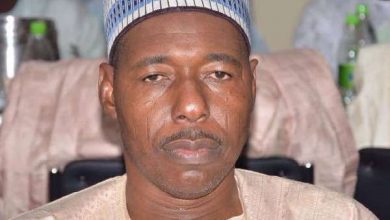Governor Babagana Zulum