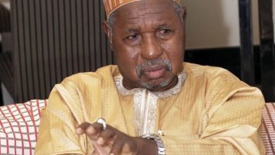 Rt. Hon. Amnu Bello Masari (Photo Credit: THISDAYLIVE)