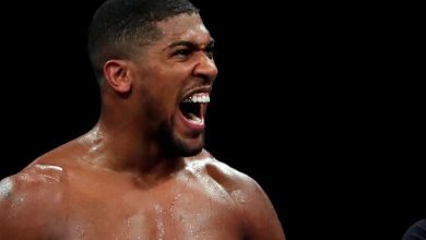 FILE PHOTO: Heavyweight World Title Fight - Anthony Joshua v Kubrat Pulev