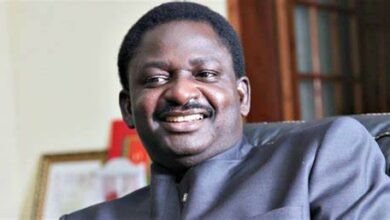 Femi Adesina