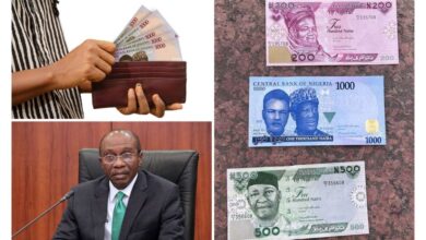 Features of naira notes