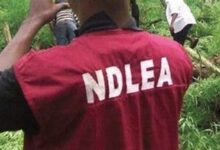 NDLEA