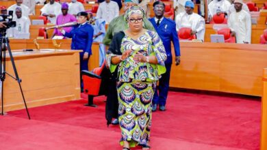 Lagos-Speaker, Hon. Mojisola Meranda, resigns