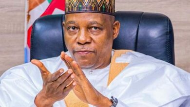 Vice President Kashim Shettima